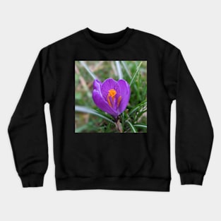 Purple and Orange Flower 3 Crewneck Sweatshirt